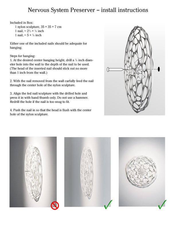 Nervous System Preserver install instructions Fresh Paint Art Mur